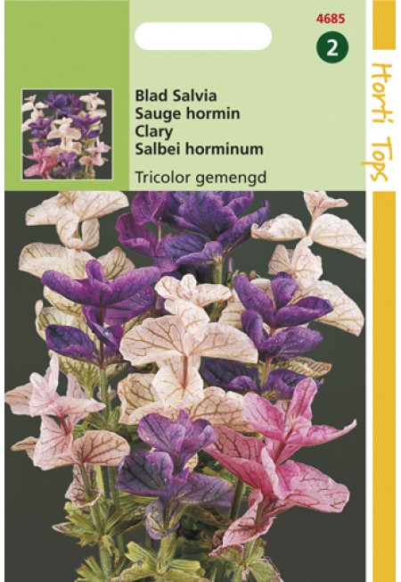 Salvia, Bladsalvia gemengd