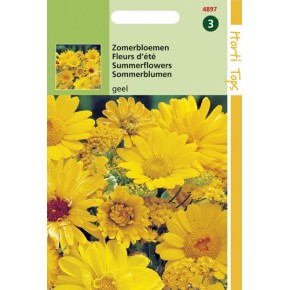 Zomerbloemen Gele Tinten