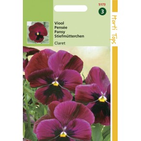 Viola Tric.Max. Claret