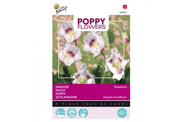 Papaver Blauwmaanzaad