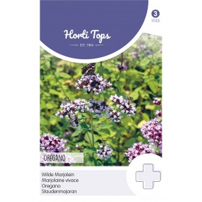 Marjolein - Oregano (rosebloeiend)
