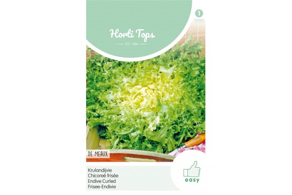 Krulandijvie De Meaux