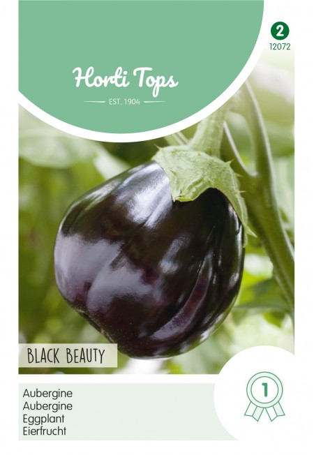 Aubergine Black Beauty