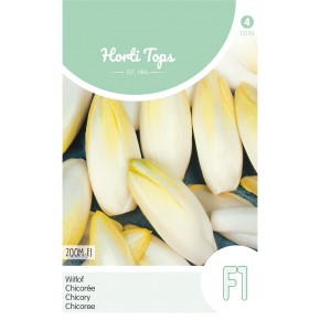 Brussels Witlof Zoom F1