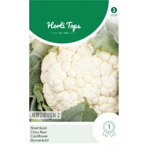 Bloemkool Herfstreuzen 2