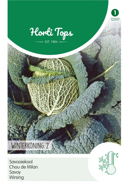 Savooiekool Winterkoning 2