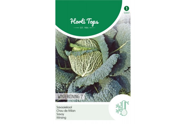 Savooiekool Winterkoning 2