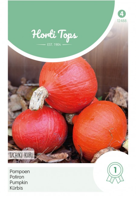 Pompoenen Uchiki Kuri