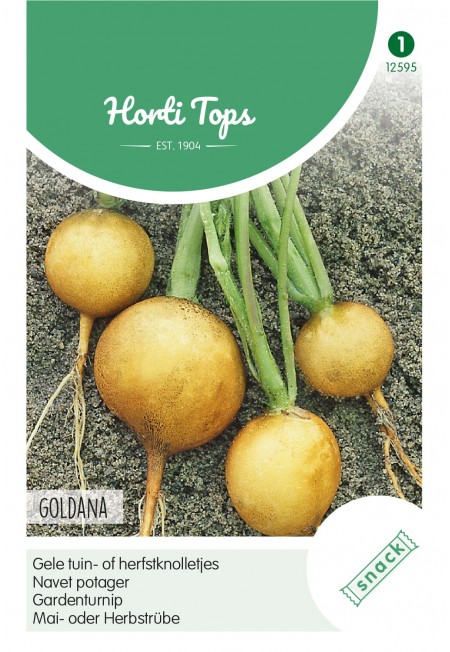 Gele tuin- of herfstknolletjes Goldana