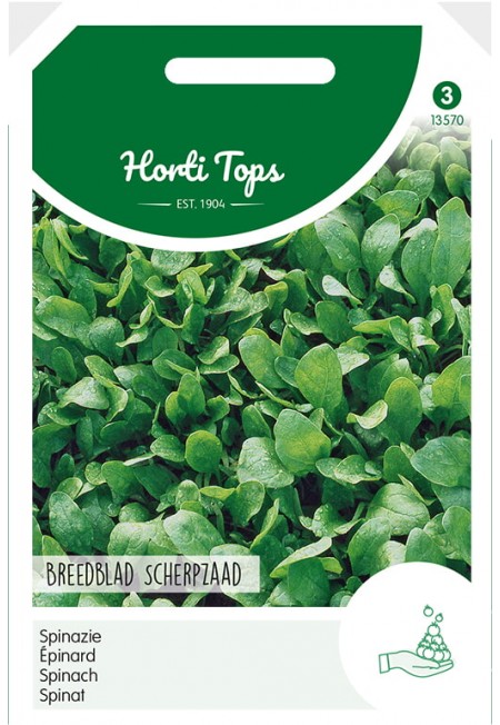 Spinazie Breedblad Scherpzaad zomer, 50g