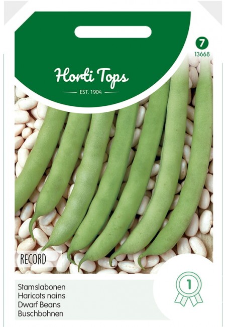 Stamslabonen Record, 250g