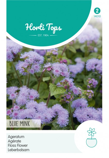 Ageratum, Leverbalsem Blue Mink