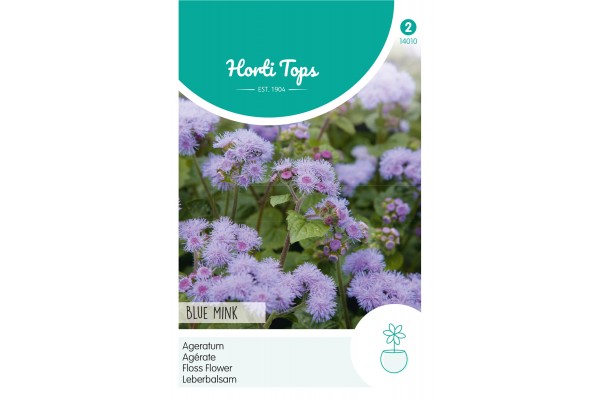 Ageratum, Leverbalsem Blue Mink