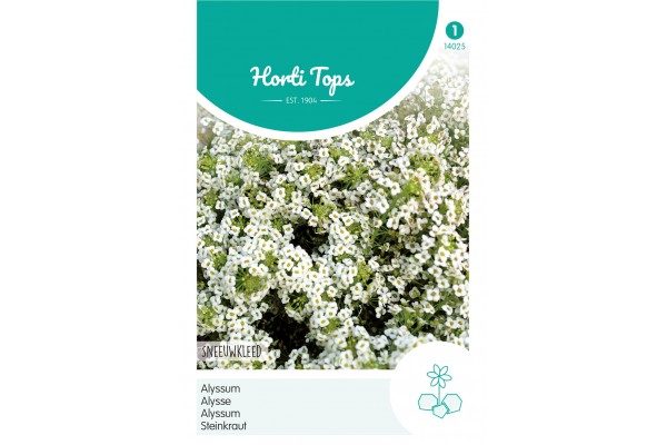 Alyssum Sneeuwkleed