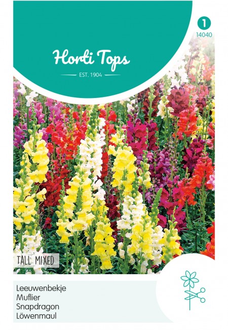 Antirrhinum, Leeuwenbekje hoog gemengd