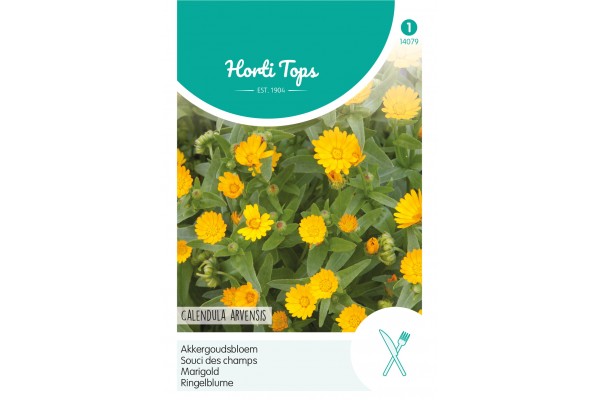 Calendula, Akkergoudsbloem