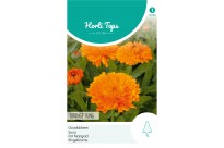 Calendula, Goudsbloem Orange King