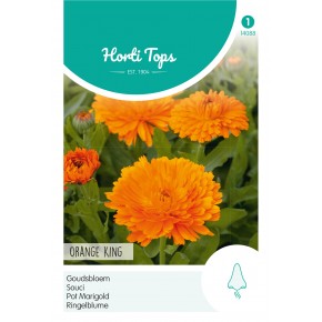Calendula, Goudsbloem Orange King