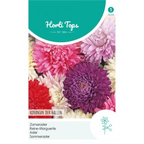 Callistephus, Zomeraster Koningin der Hallen gemengd