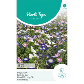 Convolvulus, Dagschone gemengd