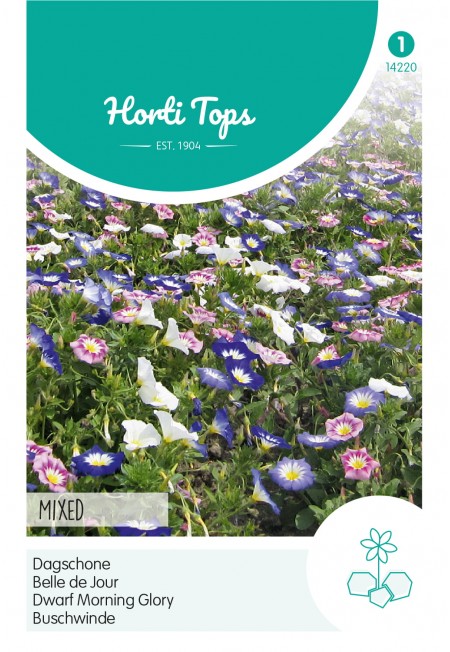 Convolvulus, Dagschone gemengd