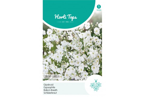 Gypsophila, Gipskruid Covent Garden wit