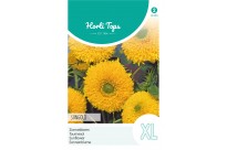 Helianthus, Zonnebloem Sungold dubbelbloemig hoog