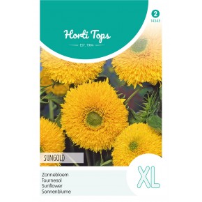 Helianthus, Zonnebloem Sungold dubbelbloemig hoog