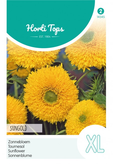 Helianthus, Zonnebloem Sungold dubbelbloemig hoog