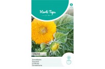 Helianthus, Zonnebloem Sungold dubbelbloemig laag