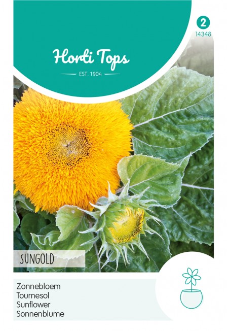 Helianthus, Zonnebloem Sungold dubbelbloemig laag