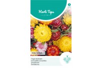 Helichrysum, Hoge strobloem Monstrosum