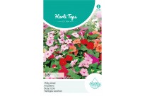 Impatiens, Vlijtig Liesje Baby gemengd