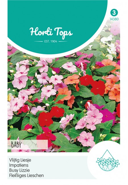 Impatiens, Vlijtig Liesje Baby gemengd