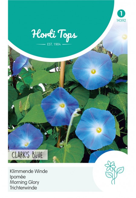 Ipomoea, Klimmende Winde Clark's Blue