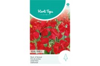 Lathyrus, Reuk- of Siererwt Royal Family Rood