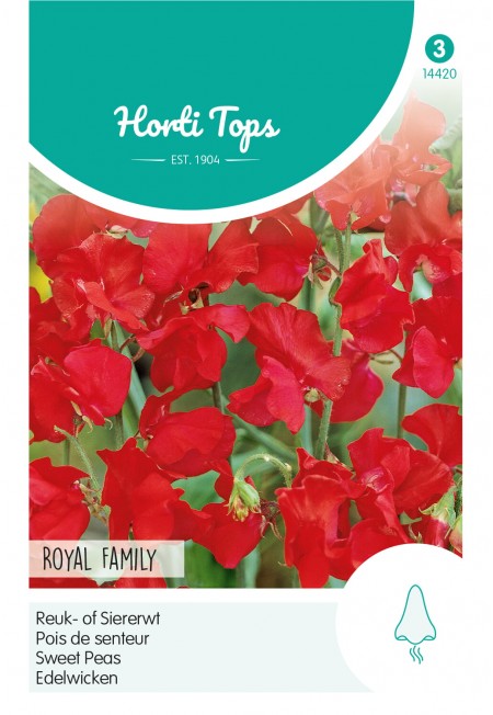 Lathyrus, Reuk- of Siererwt Royal Family Rood