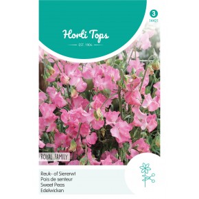 Lathyrus, Reuk- of Siererwt Royal Family Roze