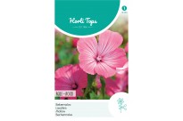 Lavatera, Bekermalva Roze-rood