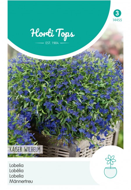 Lobelia Kaiser Wilhelm
