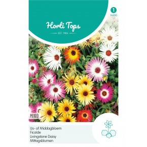 Dorotheanthus, IJs- of Middagbloem gemengd