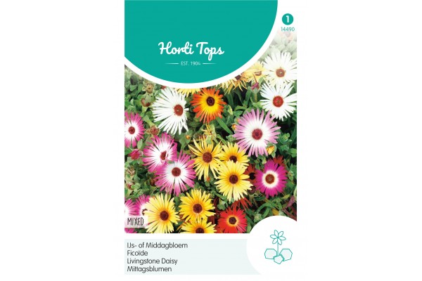 Dorotheanthus, IJs- of Middagbloem gemengd