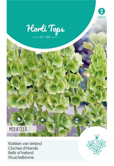 Moluccella, Klokken van Ierland