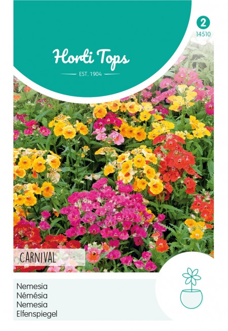 Nemesia Carnaval gemengd