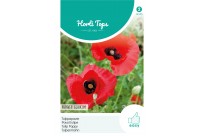 Papaver, Tulppapaver