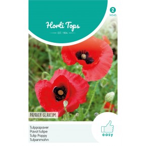 Papaver, Tulppapaver