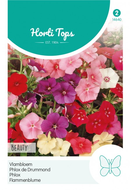 Phlox, Vlambloem Beauty gemengd
