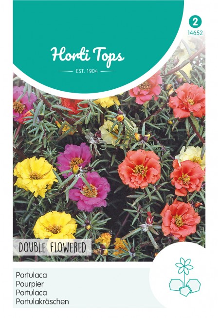Portulaca dubbelbloemig gemengd