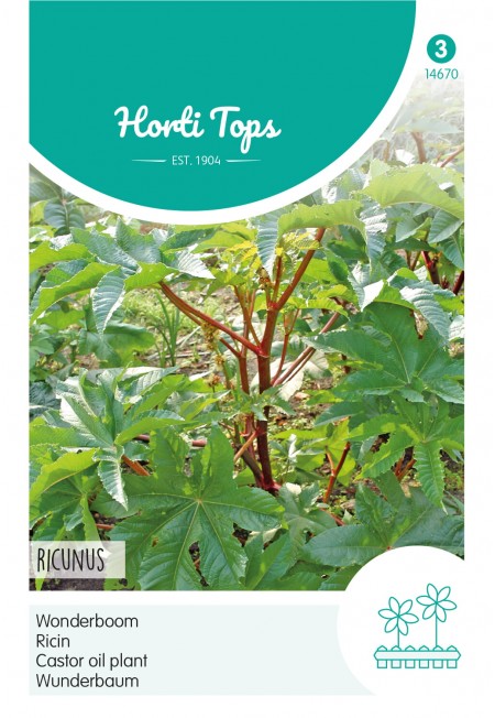 Ricinus, Wonderboom