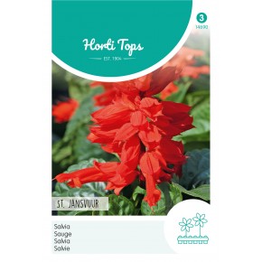 Salvia, Vuursalie St. Jansvuur